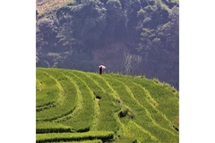 A woman stand in a steppe crop field while wearing a red dress and holding a red umbrella with the sun blazing.